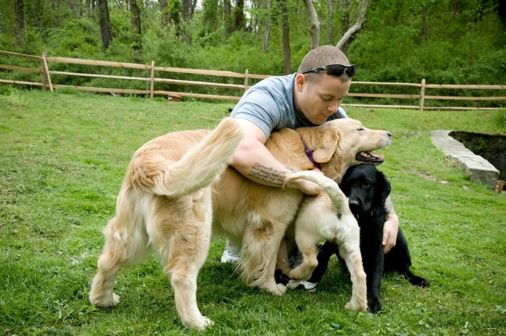 Veteran with Warrior Canine Connection trained dogs and puppies